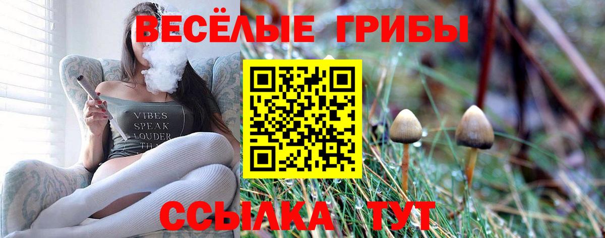 Минеральные Воды  Псилоцибиновые грибы GOLDEN TEACHER  где купить наркоту  Вход с VPN 
