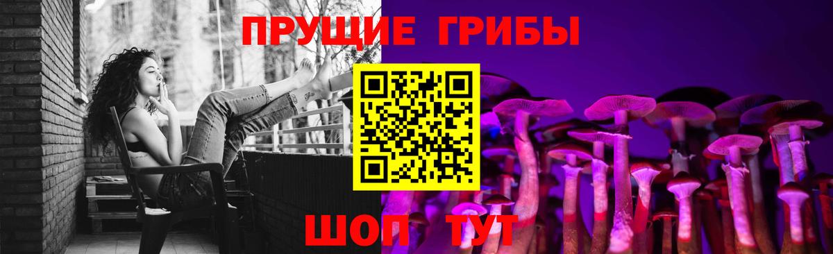 Псилоцибиновые грибы Cubensis Минеральные Воды